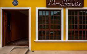 Hotel Beach Don Gonzalo